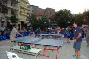 politistika-dro-2013-2h-3