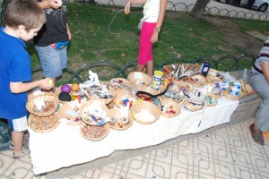 politistika-dro-2013-2h-4