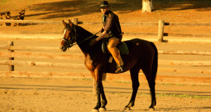 xolidis-vc-4