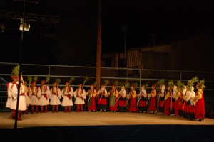 florina-politistika-dromena-2014-3