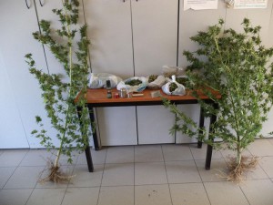 florina-51xronos-kanavi