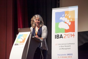 iba-2014-2