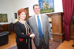 ymath-paralavi-2015-4