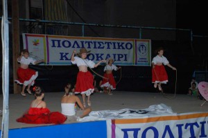 politistiko-kalokairi-19082015-2