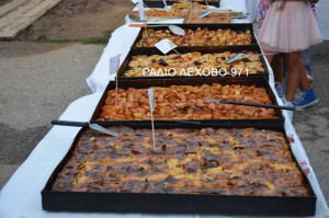 sklithro-giorti-patatas-2015-13