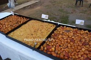 sklithro-giorti-patatas-2015-2