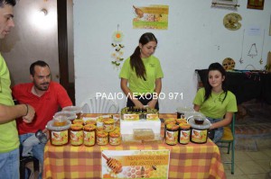 sklithro-giorti-patatas-2015-25