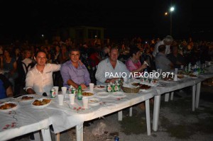 sklithro-giorti-patatas-2015-34