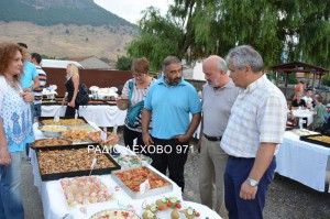 sklithro-giorti-patatas-2015-8