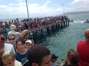 THEOFANEIA MELBOURNE 2016 3