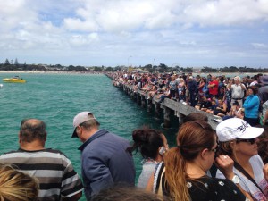 THEOFANEIA MELBOURNE 2016 4