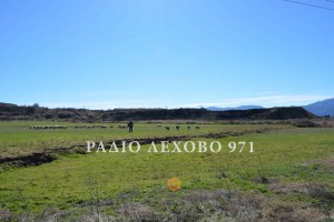 ANARGYROI-DIAMARTYRIA-032017-2
