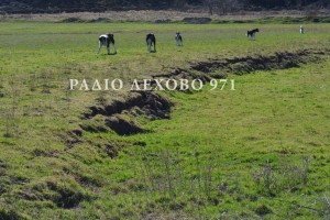 ANARGYROI-DIAMARTYRIA-032017-3