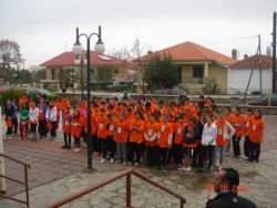 ___20101_031