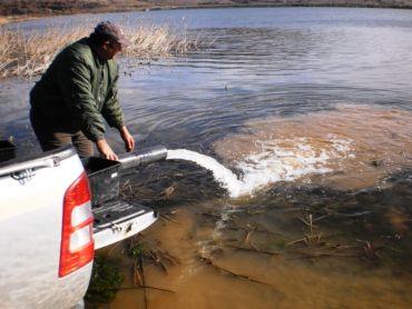 employtismos-psarion-1