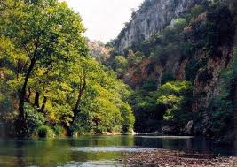 Εικόνα άρθρου