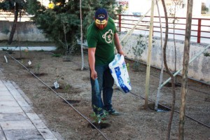 Εικόνα άρθρου