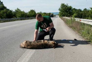 Εικόνα άρθρου
