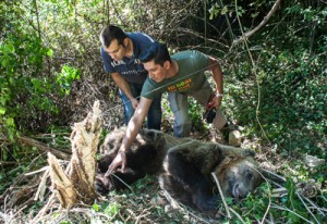 Εικόνα άρθρου