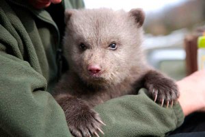 Εικόνα άρθρου