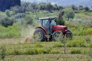 Εικόνα άρθρου