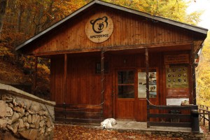 Εικόνα άρθρου