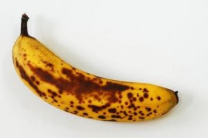 Εικόνα άρθρου