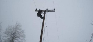 Εικόνα άρθρου