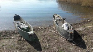 Εικόνα άρθρου