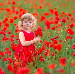 Εικόνα άρθρου