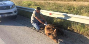Εικόνα άρθρου