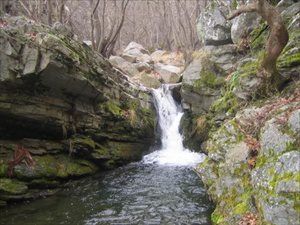 Εικόνα άρθρου