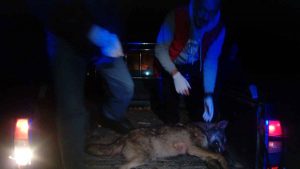 Εικόνα άρθρου