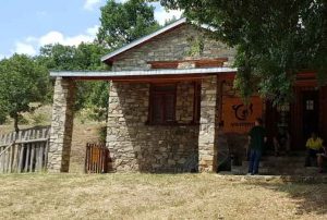 Εικόνα άρθρου