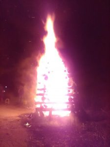 Εικόνα άρθρου