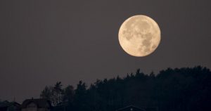 Εικόνα άρθρου