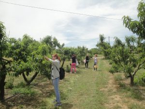 Εικόνα άρθρου