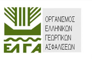 Εικόνα άρθρου