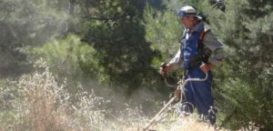 Εικόνα άρθρου