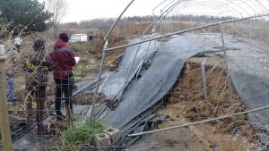 Εικόνα άρθρου