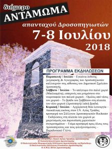 Εικόνα άρθρου