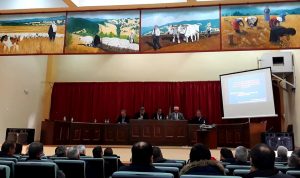 Εικόνα άρθρου