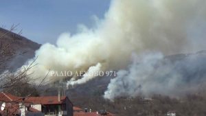 Εικόνα άρθρου