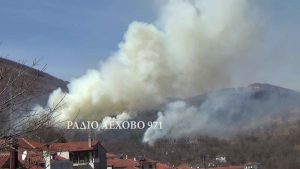 Εικόνα άρθρου