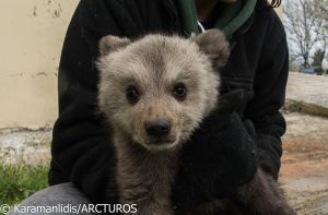 Εικόνα άρθρου