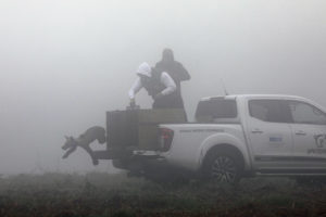 Εικόνα άρθρου