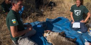 Εικόνα άρθρου