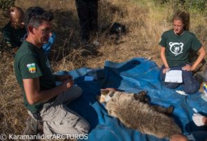 Εικόνα άρθρου