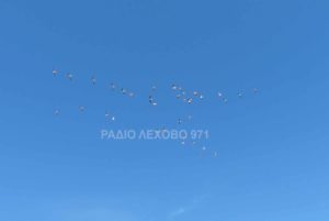 Εικόνα άρθρου