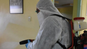 Εικόνα άρθρου